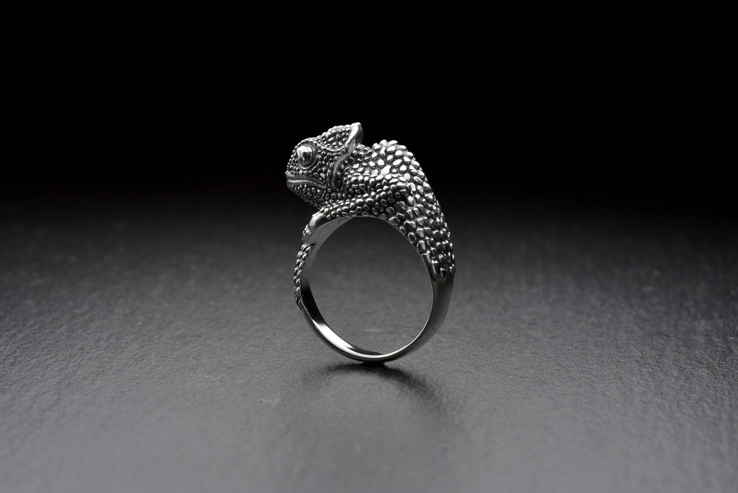 anneau de reptiles	Reptilienring	Сhameleon	Ring Сhameleon	Silver Ring	Silver (etsy image id: 4370680209)