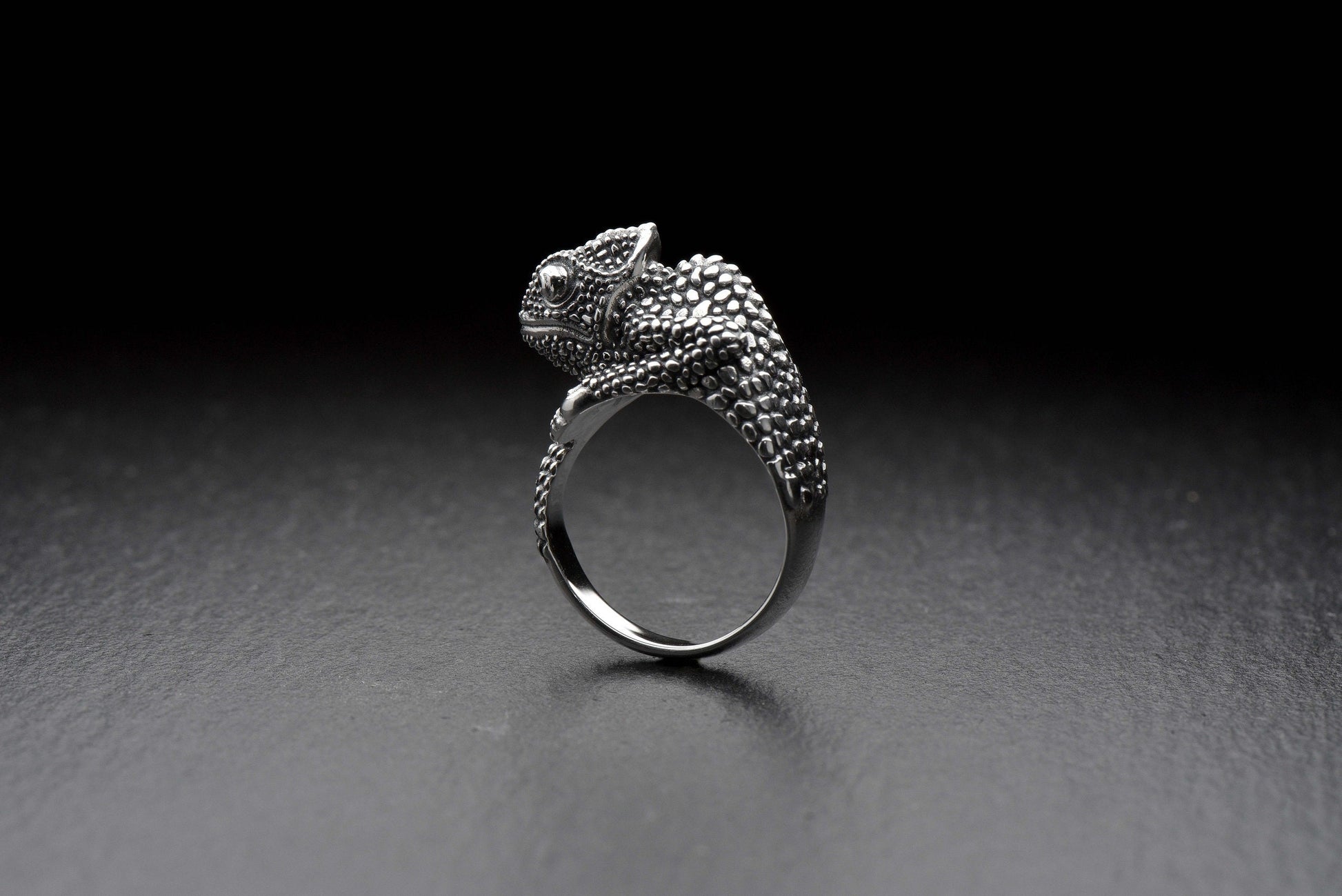 anneau de reptiles	Reptilienring	Сhameleon	Ring Сhameleon	Silver Ring	Silver (etsy image id: 4370680209)
