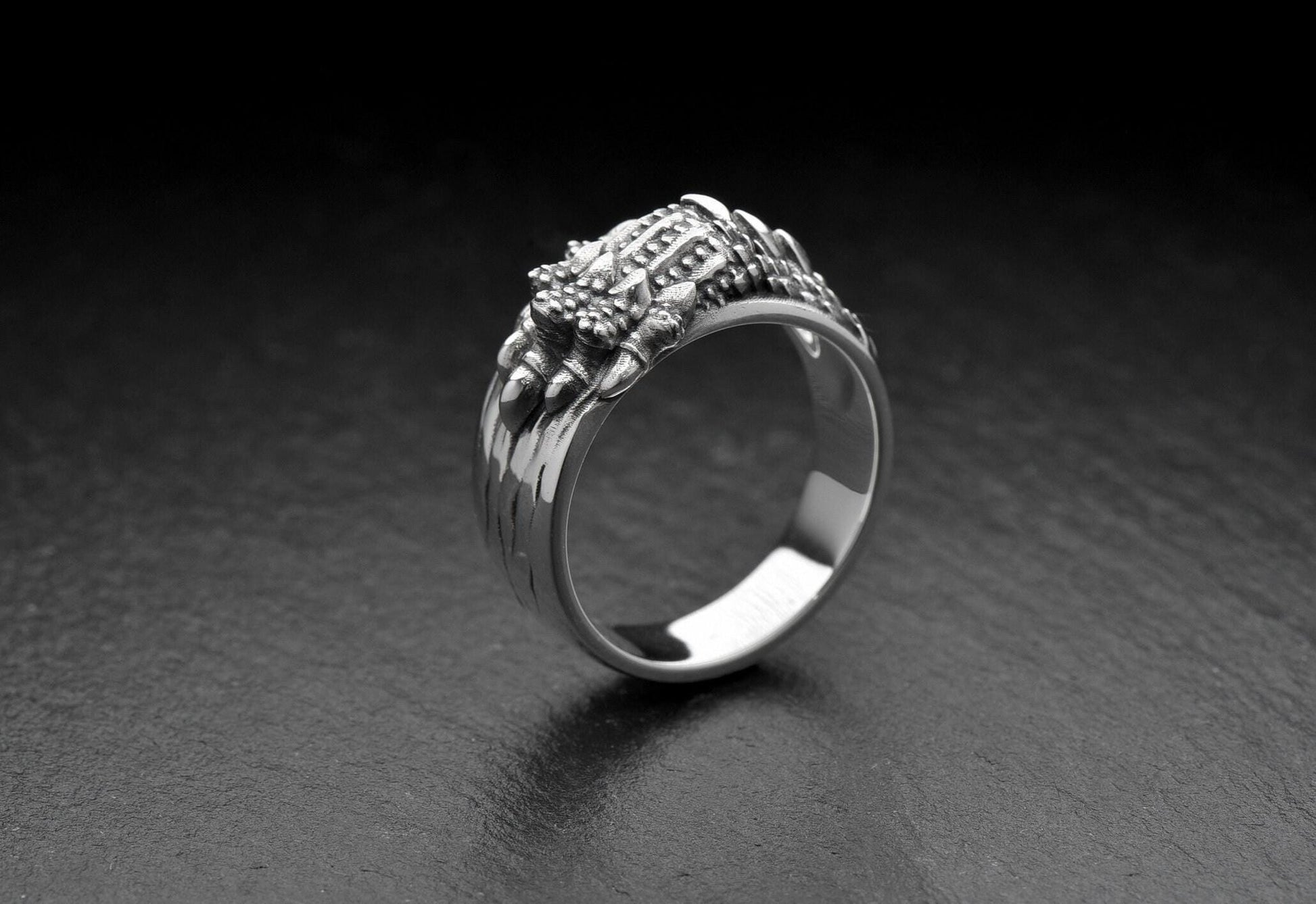 Made from solid sterling silver, this unique piece features an intricately sculpted dragon paw gripping the band, representing raw power and ancient protection. Inspired by Norse mythology and fantasy legends, this ring is perfect for those who walk their own path – warriors, gamers, fantasy lovers, and modern-day heroes alike. (etsy image id: 7099608498)