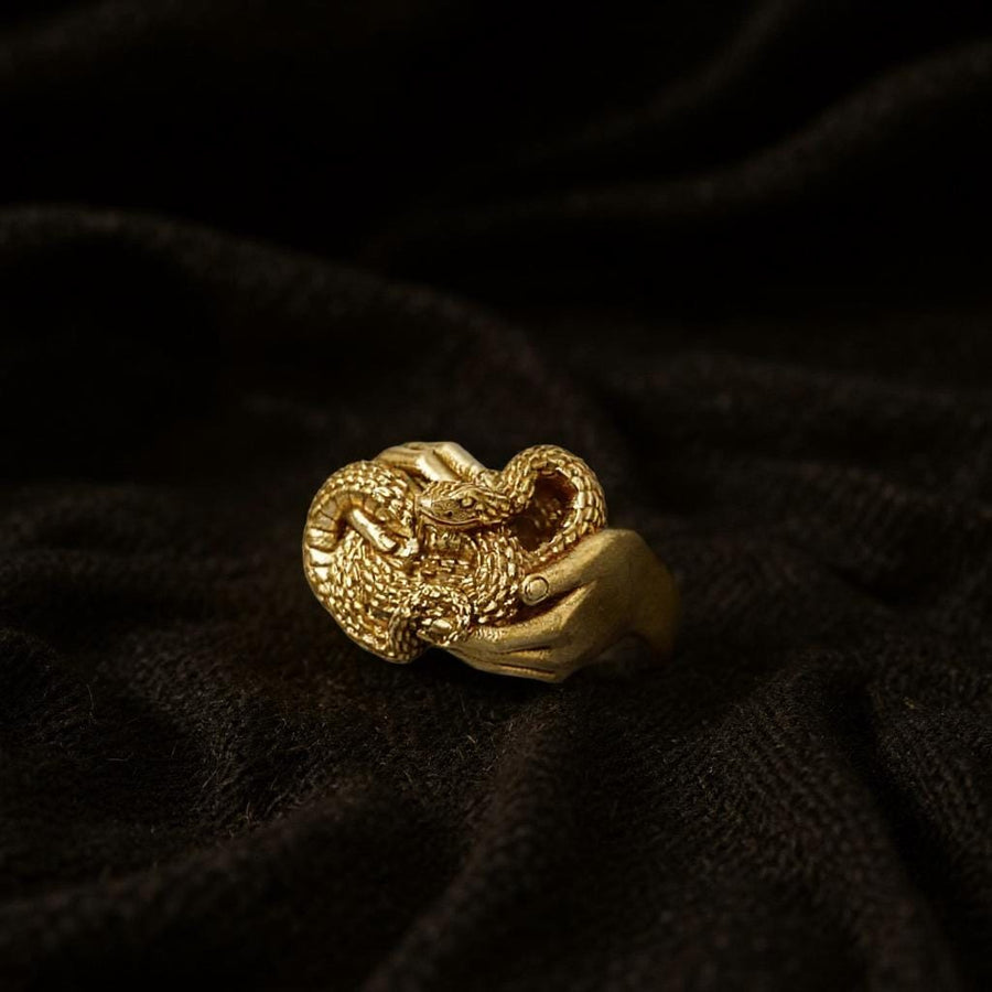 Signet ring	Animal ring	Snake signet ring	Silver snake ring	snake jewelry	reptile jewelry	men's jewelry	dragon house	snake	Silver ring	Serpent ring	Snake ring	Sterling silver (etsy image id: 7159323588)