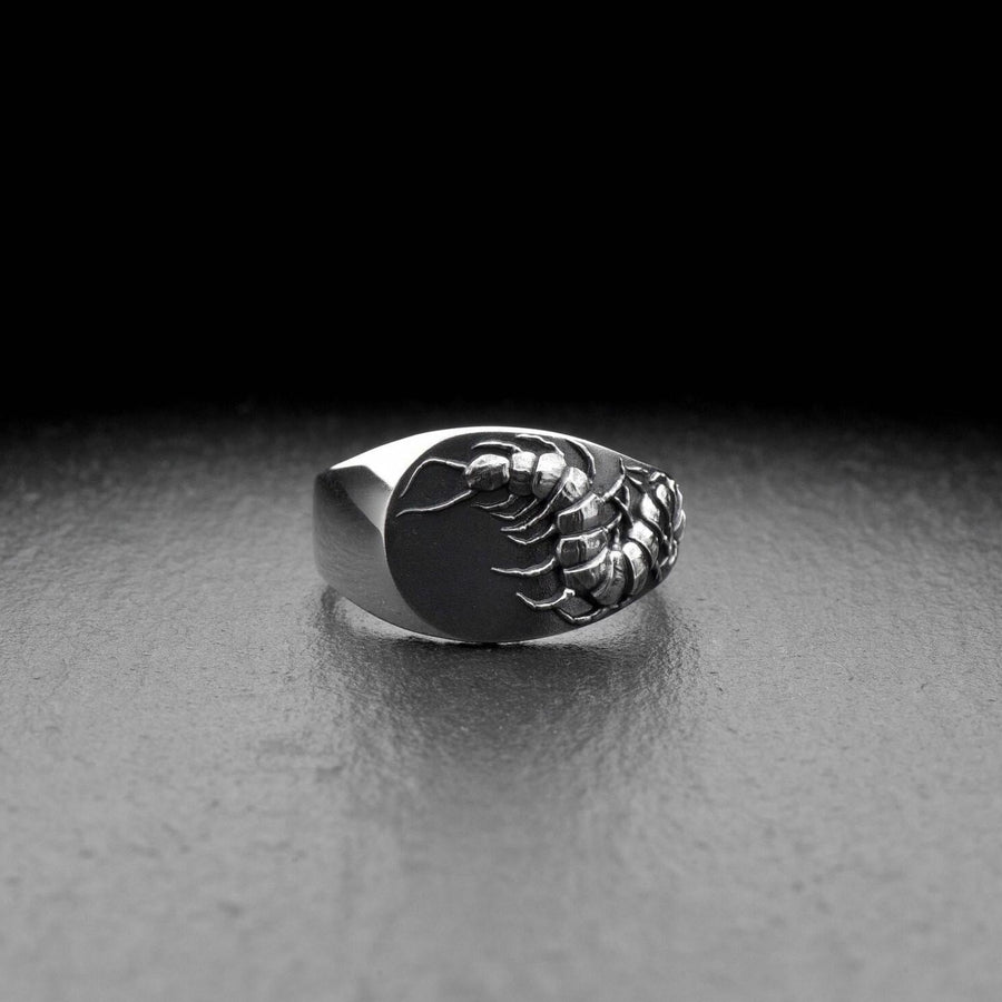 Signet ring	Scolopendra ring	scolopendra signet	Chilopoda jewelry	scolopendra jewelry	Centipedes	Scolopendra	Scolopendre	bug ring	bug	tropical ring	insect	insect ring (etsy image id: 7305664061)