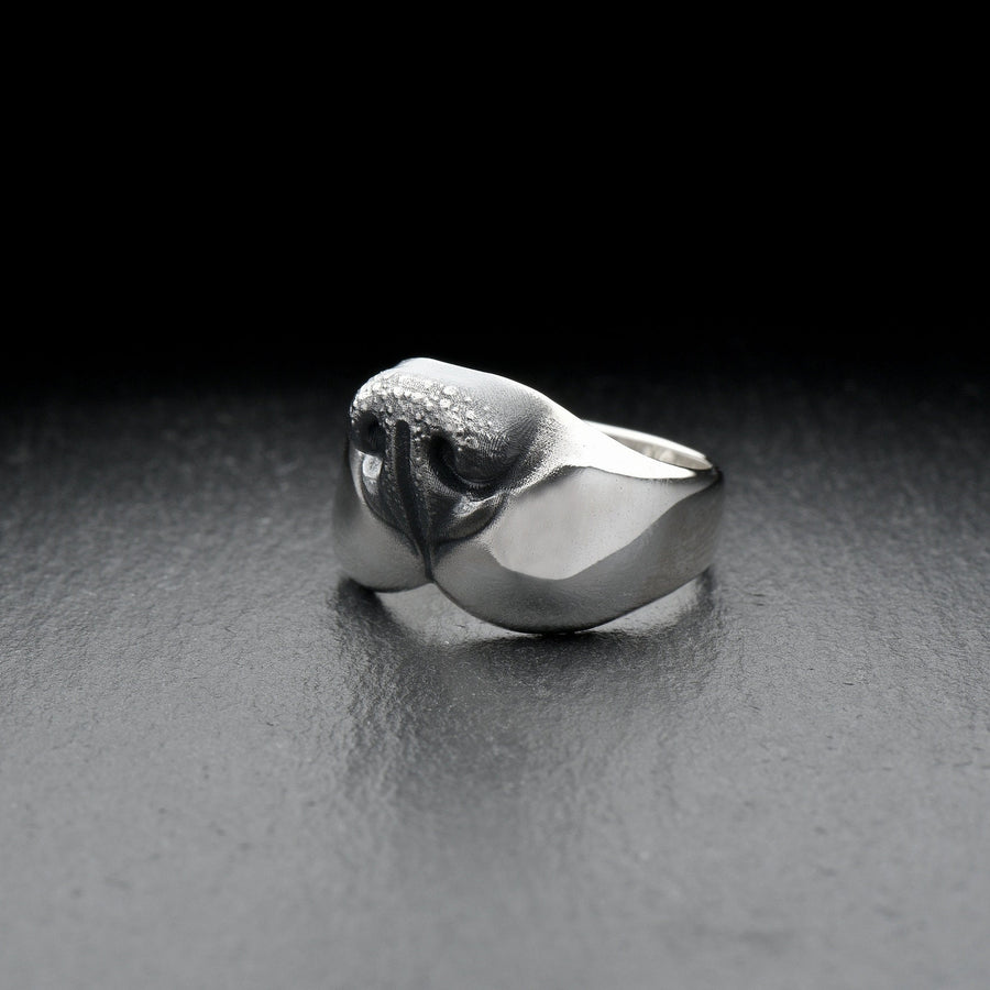 dog lovers	Hundering	dog jewelry	nose ring	silver ring	decoration (etsy image id: 7401785009)